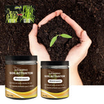 Root Stimulator – Enhances Root Development & Accelerates Plant Growth | Buy One, Get One Free