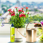 Liquid Plant Booster | Buy 2, Get 2 FREE