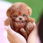 Realistic Movement Interactive Robot Puppy | Electronic Dog Toy for Children and Animal Enthusiasts
