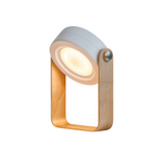 Dimmable LED Lantern with USB Charging Function
