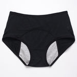 2024 New Upgrade High-Waisted Leak-Proof Underwear