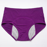 2024 New Upgrade High-Waisted Leak-Proof Underwear