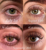 Buy One, Get One Free | Eyelash Serum | Enhance Thin, Short Lashes