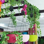 Buy 2, Get 2 Free | Stylish Plant Hanging Set for Your Home