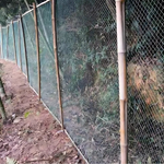 Premium Garden Net | UV Resistant & Tear Resistant | Versatile Plant Protection | Custom Sizes Available