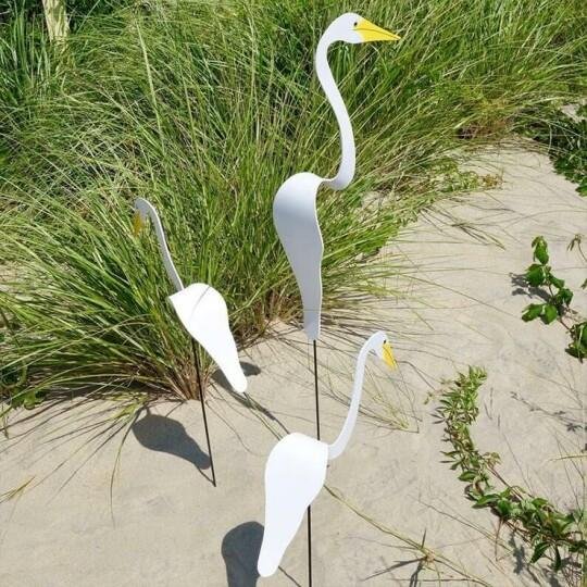 Garden Bird Flamingo
