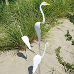Garden Bird Flamingo