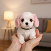 Pink & White