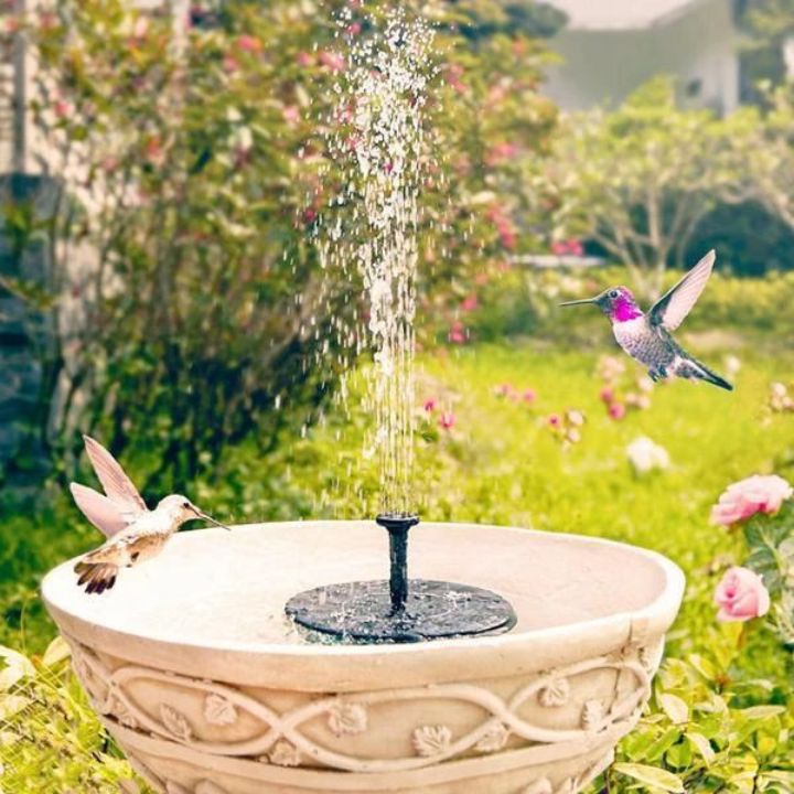 Solar-Powered Floating Garden Fountain