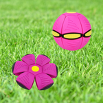 UFO Flying Saucer Ball | 50% OFF