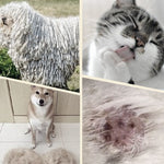 Gentle Coat Care Brush | Buy One, Get One Free