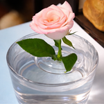 5+5 FREE | Flower Support – Instantly Keeps Flowers Upright and Impressive