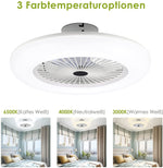 80W Ceiling Fan with Lighting and Remote Control