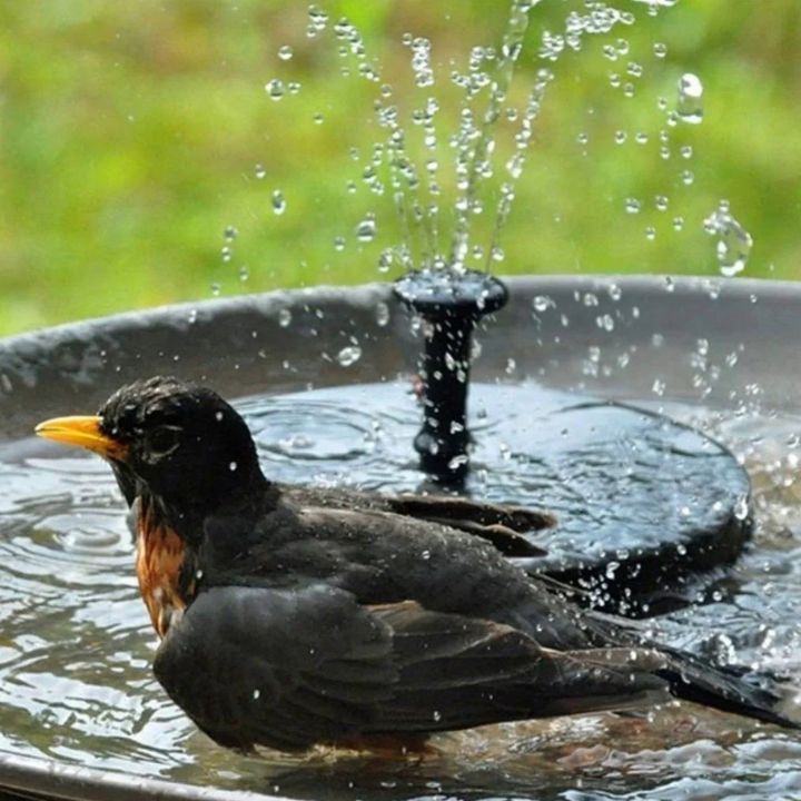 Solar-Powered Floating Garden Fountain