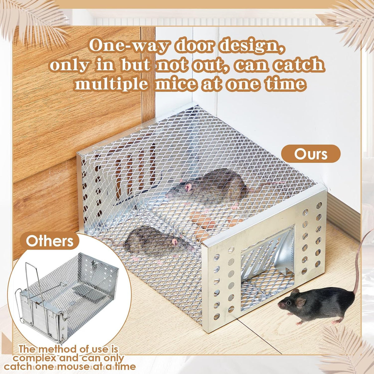 Animal-Friendly Live Trap for Safe and Humane Rodent Control Indoors and Outdoors