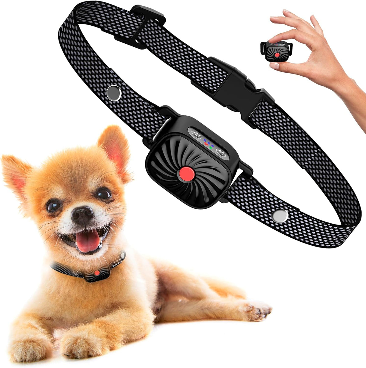 Small Dog Anti-Bark Collar