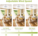 80W Ceiling Fan with Lighting and Remote Control