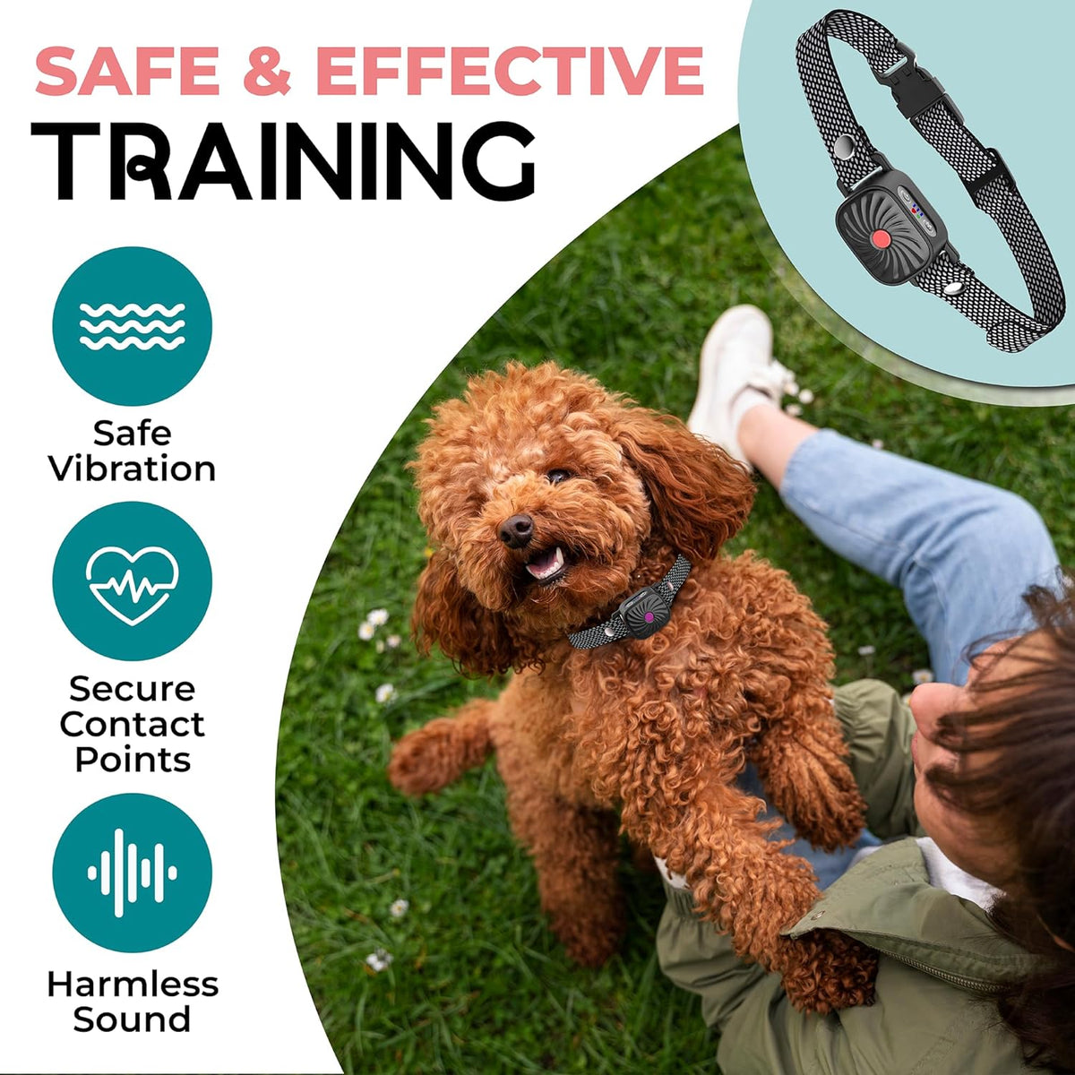 Small Dog Anti-Bark Collar