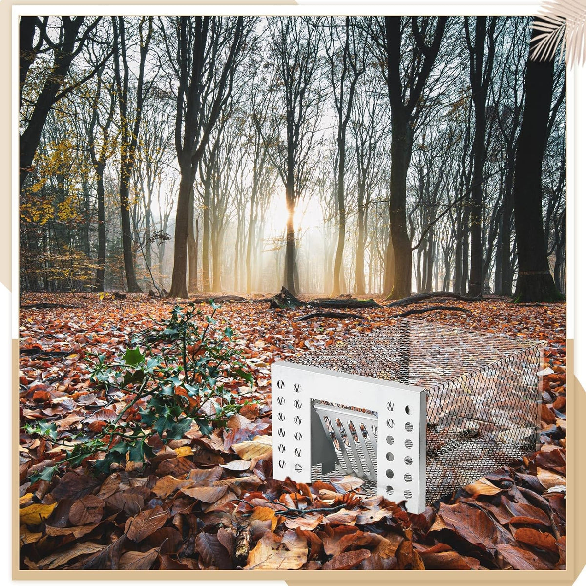 Animal-Friendly Live Trap for Safe and Humane Rodent Control Indoors and Outdoors