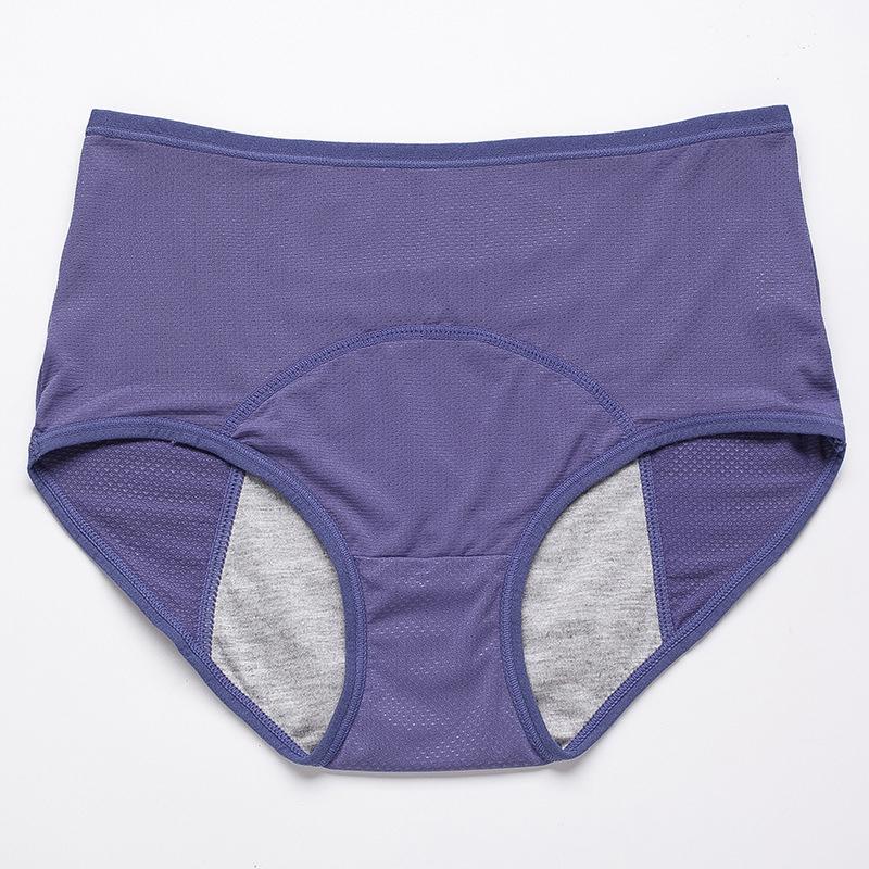 2024 New Upgrade High-Waisted Leak-Proof Underwear
