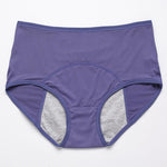 2024 New Upgrade High-Waisted Leak-Proof Underwear