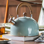 Classic 3L Whistling Kettle with Elegant Design