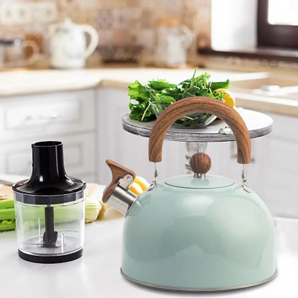 Classic 3L Whistling Kettle with Elegant Design