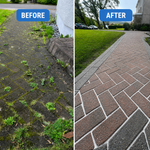 Efficient Weed Remover | Easy-to-Use Tool