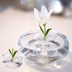 5+5 FREE | Flower Support – Instantly Keeps Flowers Upright and Impressive