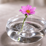 5+5 FREE | Flower Support – Instantly Keeps Flowers Upright and Impressive