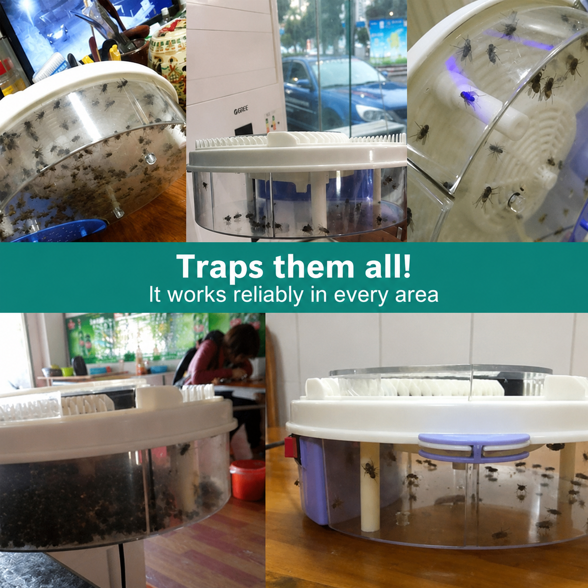 Silent Fly Trap with Rotating Bait Chambers | Quiet & Eco-Friendly | Suitable for Indoor & Outdoor Use