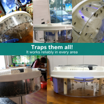 Silent Fly Trap with Rotating Bait Chambers | Quiet & Eco-Friendly | Suitable for Indoor & Outdoor Use