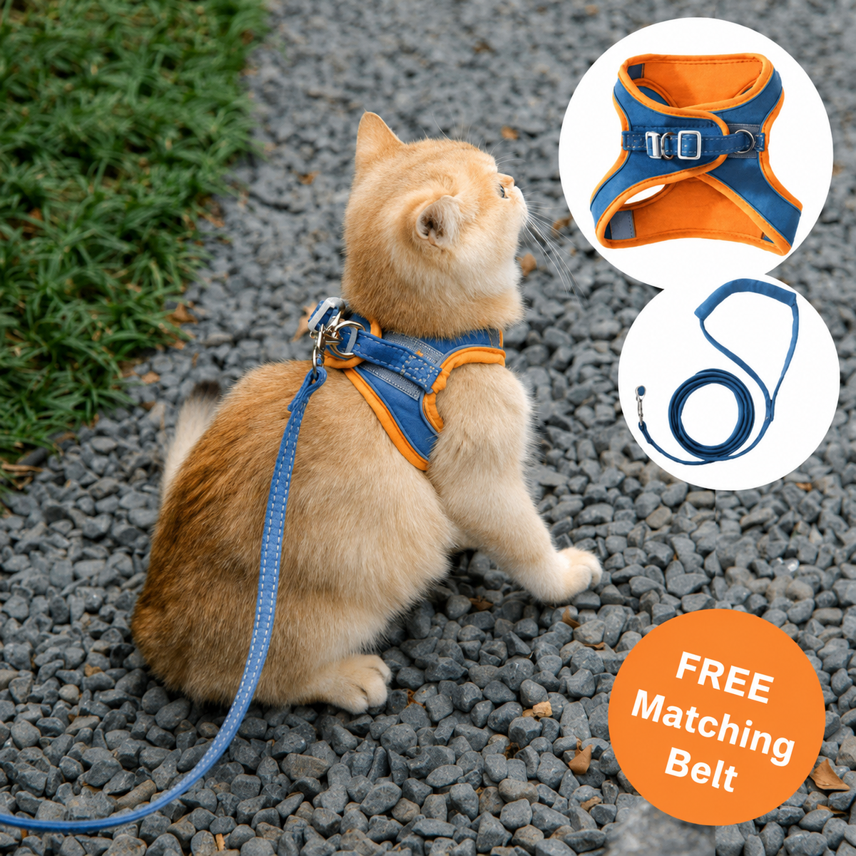 Comfortable Cat Harness with Reflective Stripes for Safe Night Walks | 50% OFF