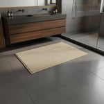 Absorbent Non-Slip Indoor Entry Doormat