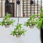 Buy 2, Get 2 Free | Stylish Plant Hanging Set for Your Home