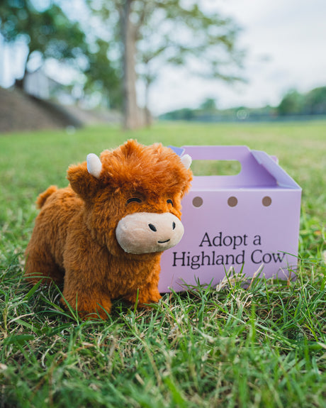 Highland Cow Stuffed Animal - Perfect Gift