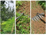 Garden Hoe Made of Carbon Steel – Sharp Tines for Weeding and Soil Loosening