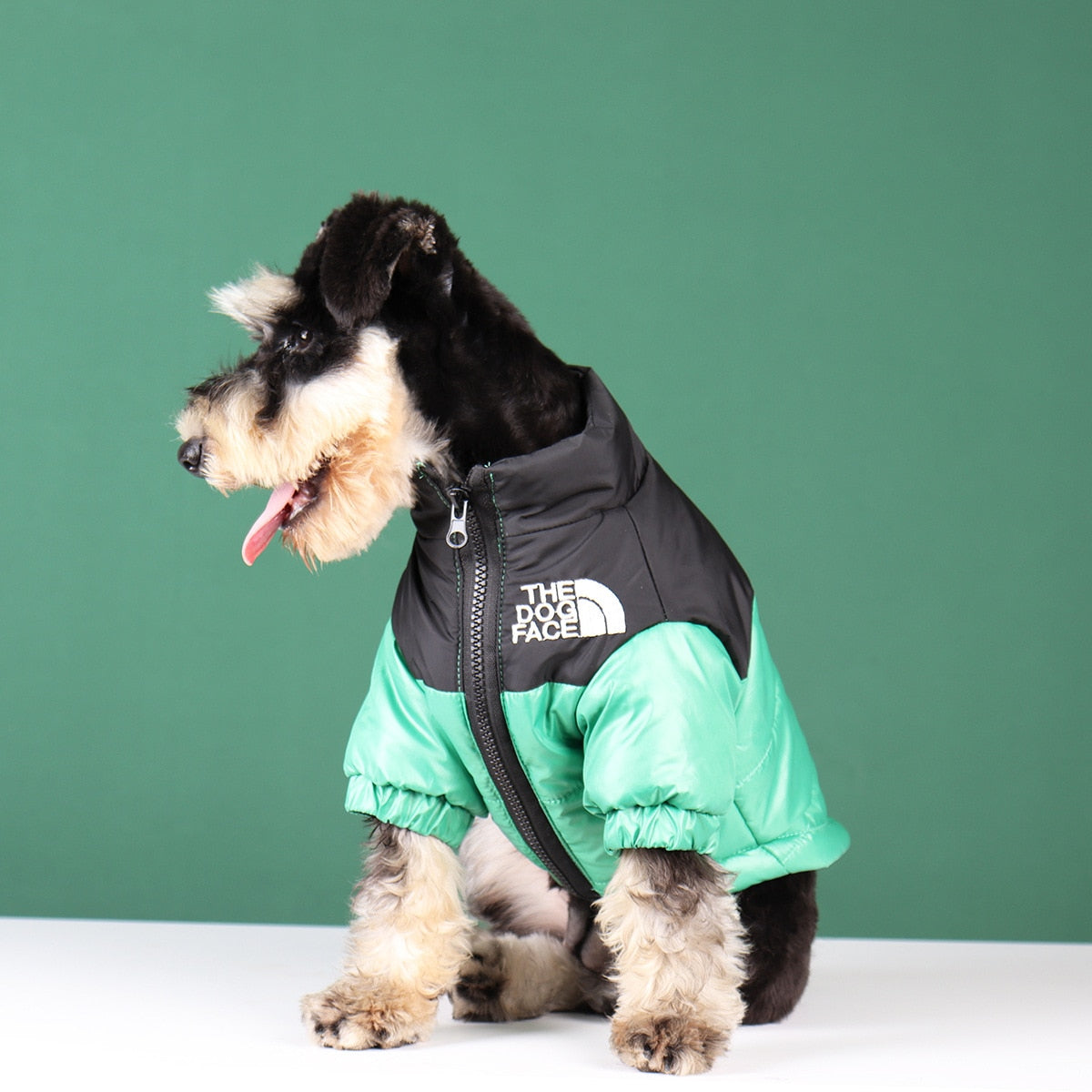 Dog Winter Jacket | Insulated and Windproof
