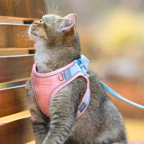 Comfortable Cat Harness with Reflective Stripes for Safe Night Walks | 50% OFF