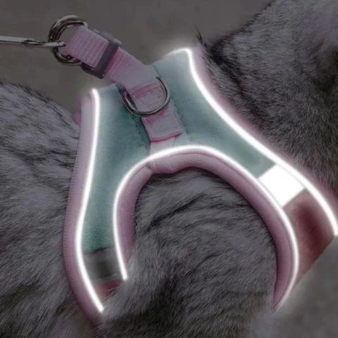 Comfortable Cat Harness with Reflective Stripes for Safe Night Walks | 50% OFF