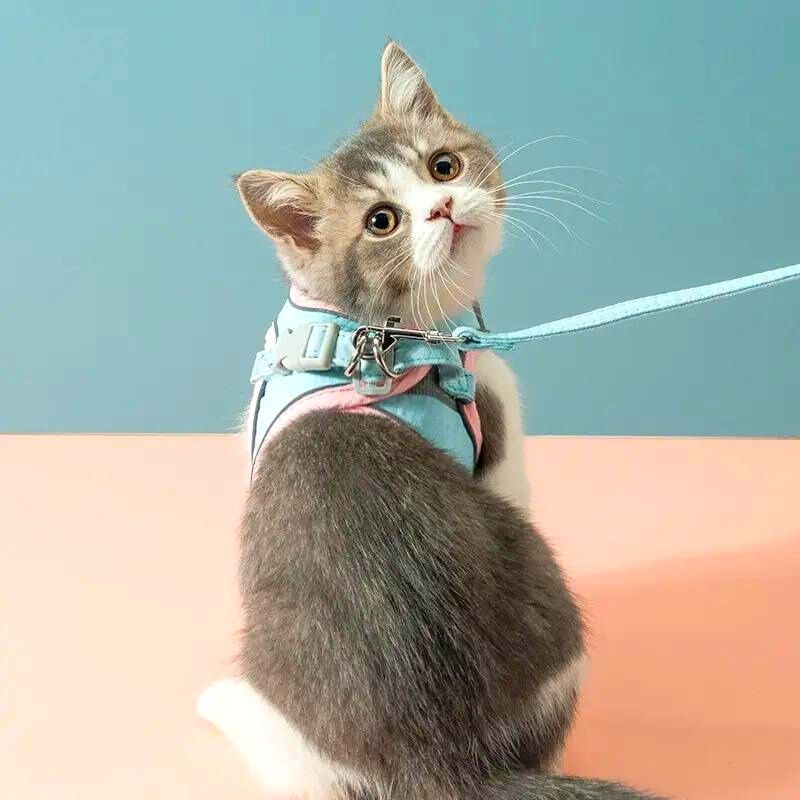 Comfortable Cat Harness with Reflective Stripes for Safe Night Walks | 50% OFF