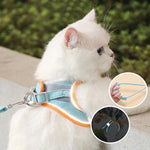 Comfortable Cat Harness with Reflective Stripes for Safe Night Walks | 50% OFF