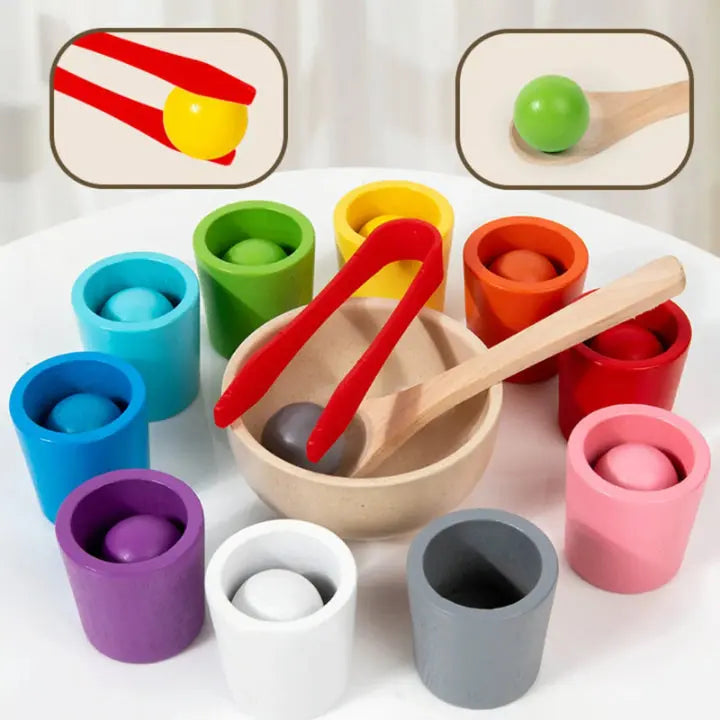 Color Matching Wooden Play Set
