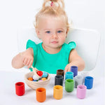 Color Matching Wooden Play Set