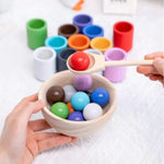 Color Matching Wooden Play Set