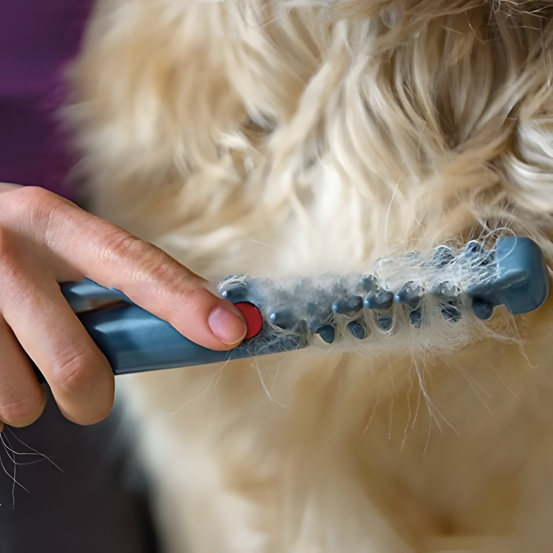Say Goodbye to Knots and Tangles for Your Pet