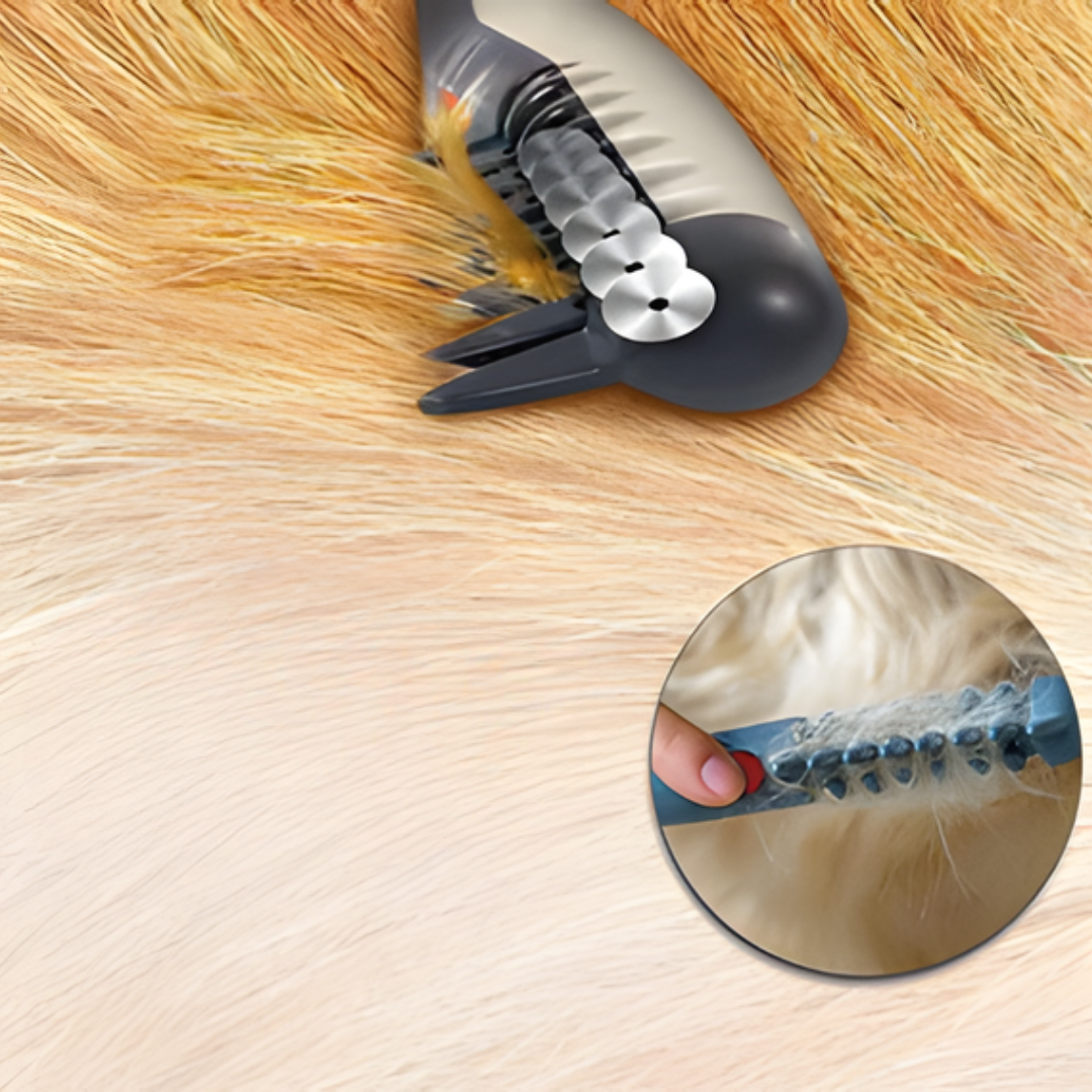 Say Goodbye to Knots and Tangles for Your Pet