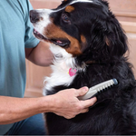 Knot-Free Pet Trimmer | Pain-Free Grooming for Dogs & Cats | Suitable for All Coat Types