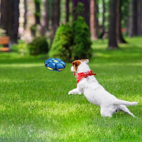 UFO Flying Saucer Ball | 50% OFF