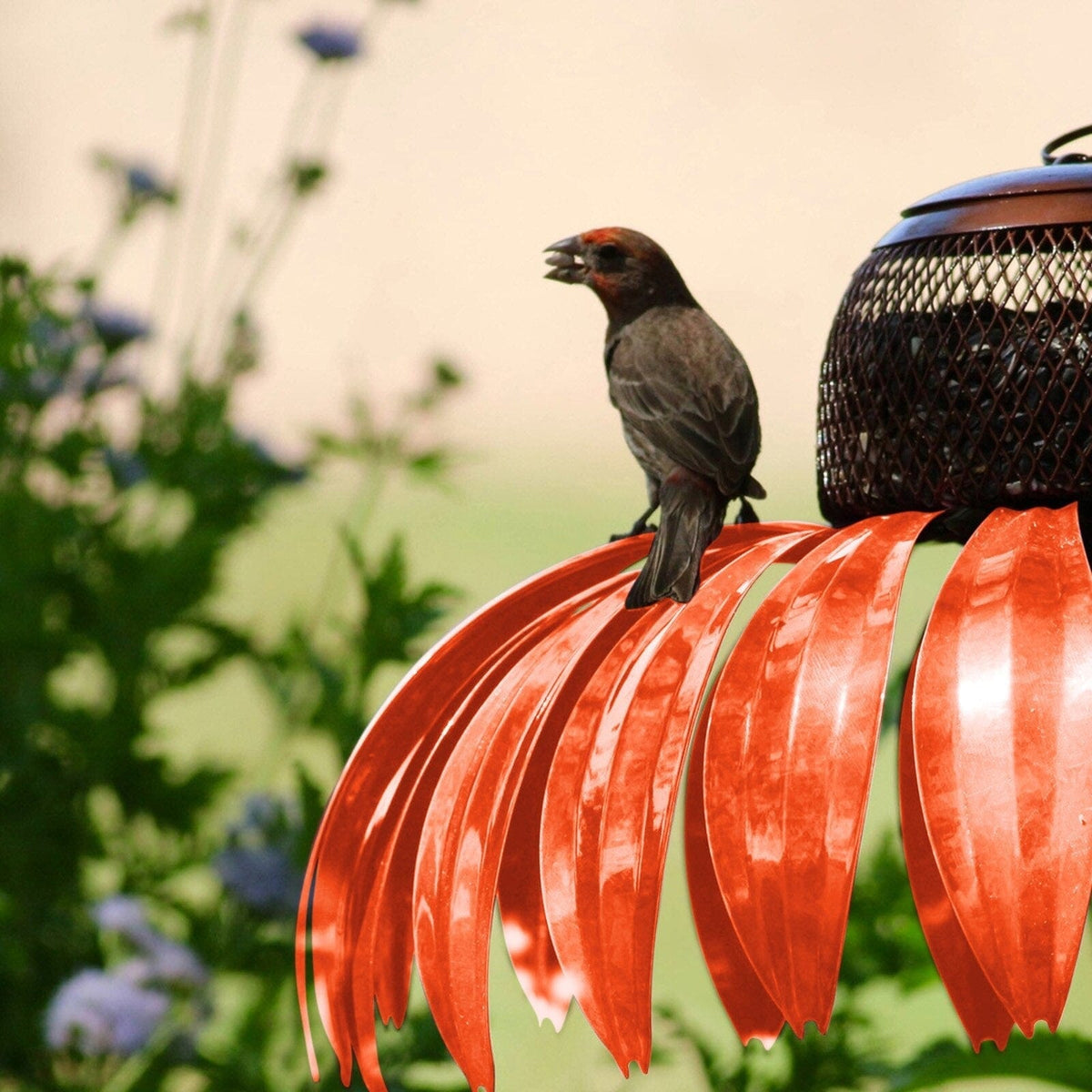 Weather-Resistant Bird Feeder House | Decorative Feeder for Garden and Balcony